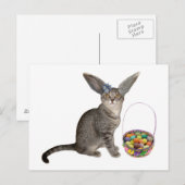 Cartes postales de chaton de Pâques (Devant / Derrière)