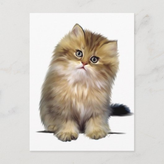 Cartes postales de chaton précieux (Devant)