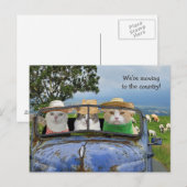 Cartes postales de chats drôles qui déménagent (Devant / Derrière)