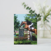 Cartes postales de chevaux de Grand Prix (Debout devant)