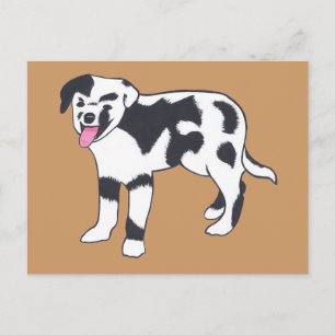 Cartes postales de Chien tacheté noir et blanc