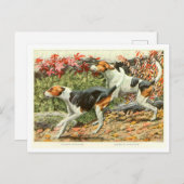 Cartes postales de chiens Foxhound (Devant / Derrière)
