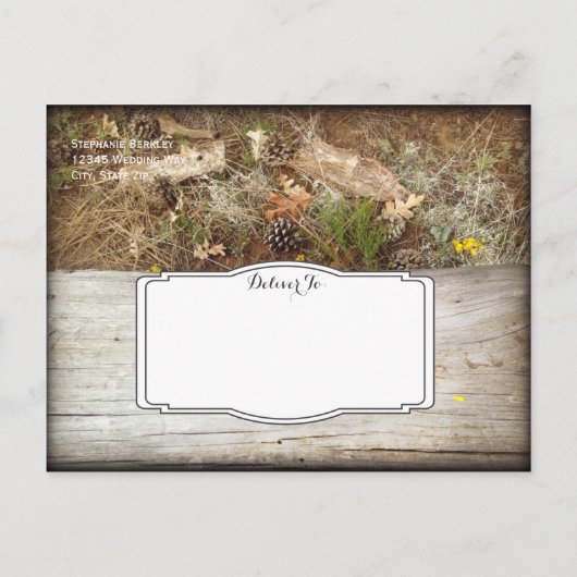 Cartes postales de date d'enregistrement de camouf (Dos)