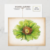 Cartes postales de dessins botaniques (Devant / Derrière)