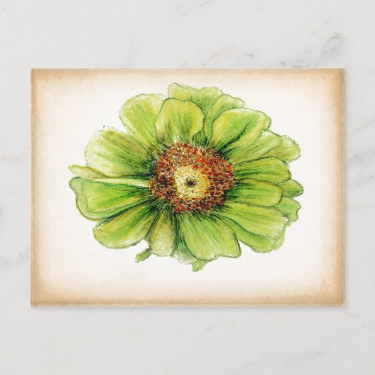 Cartes postales de dessins botaniques (Devant)