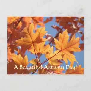 Cartes postales de feuilles d'automne Belle journé