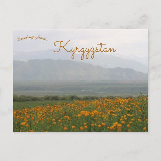 Cartes postales de fleurs au Kirghizistan (Devant)