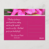 Cartes postales de fleurs d'azalée rose merci (Dos)