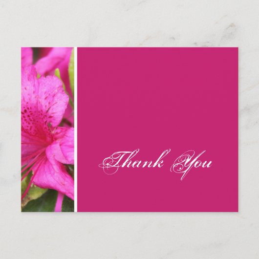 Cartes postales de fleurs d'azalée rose merci (Devant)