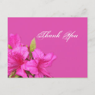 Cartes postales de fleurs d'azalée rose merci