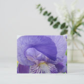 Cartes postales de fleurs d'Iris violettes Irises (Debout devant)