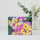 Cartes postales de fleurs tropicales (Debout devant)