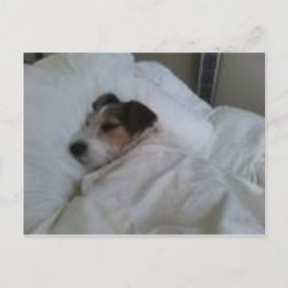 Cartes postales de haute qualité