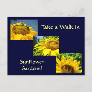 Cartes postales de jardins de tournesols