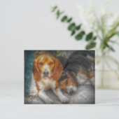 Cartes postales de jolis chiens Beagle (Debout devant)