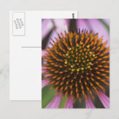 Cartes postales de la photo du Confleur (Devant / Derrière)