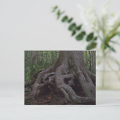 Cartes postales de l'artefact de la forêt indienne (Debout devant)