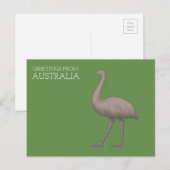 Cartes postales de l'émeu australien (Devant / Derrière)