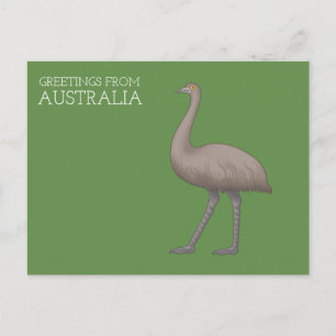 Cartes postales de l'émeu australien