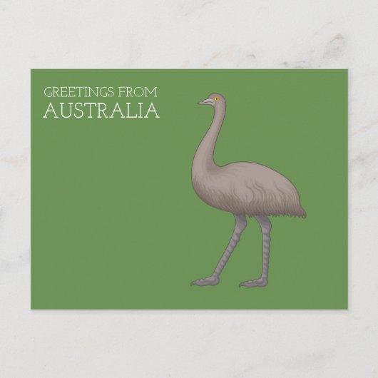 Cartes postales de l'émeu australien (Devant)