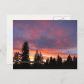 Cartes postales de l'Oregon Sunset (Devant / Derrière)