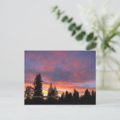 Cartes postales de l'Oregon Sunset (Debout devant)