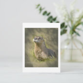 Cartes postales de loutres de mer (Debout devant)