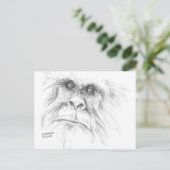 Cartes postales de LTB (Debout devant)