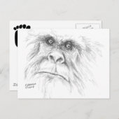 Cartes postales de LTB (Devant / Derrière)