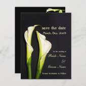 Cartes postales de lys calla à sauvegarder la date (Devant / Derrière)