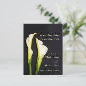 Cartes postales de lys calla à sauvegarder la date (Debout devant)