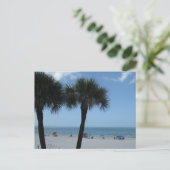 Cartes postales de Madeira Beach Palms (Debout devant)