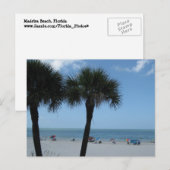 Cartes postales de Madeira Beach Palms (Devant / Derrière)