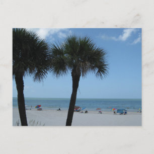 Cartes postales de Madeira Beach Palms