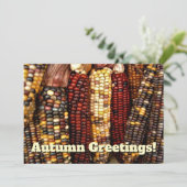 Cartes postales de maïs indien coloré (Debout devant)