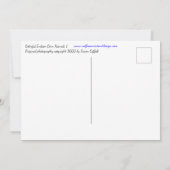 Cartes postales de maïs indien coloré (Dos)