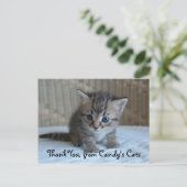 Cartes postales de Merci de Habu (Debout devant)