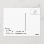 Cartes postales de Merci de Habu (Dos)