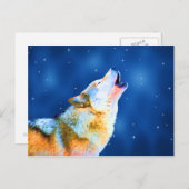 Cartes postales de Midnight Howl (Devant / Derrière)