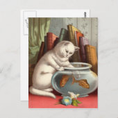Cartes postales de Naughty Cats (Devant / Derrière)