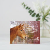 Cartes postales de Noël (Debout devant)