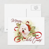 Cartes postales de Noël Bichon Frise (Devant / Derrière)