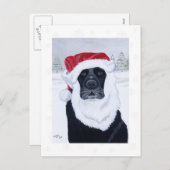 Cartes postales de Noël Black Labrador (Devant / Derrière)