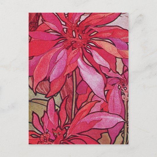 Cartes postales de Noël de poinsettias d'Alphonse (Devant)