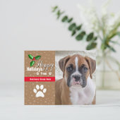 Cartes postales de Noël pour animaux de compagnie  (Debout devant)