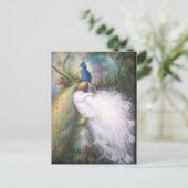 cartes postales de paons (Debout devant)