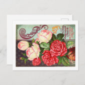 Cartes postales de paquets de semences (Devant / Derrière)