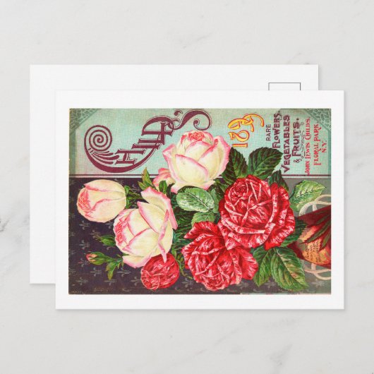 Cartes postales de paquets de semences (Devant / Derrière)