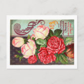 Cartes postales de paquets de semences (Devant)