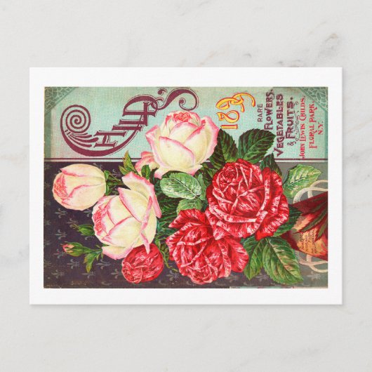 Cartes postales de paquets de semences (Devant)